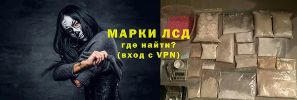 сатива Беломорск