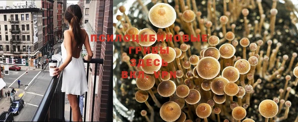 таблы Белокуриха