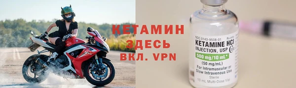 сатива Беломорск