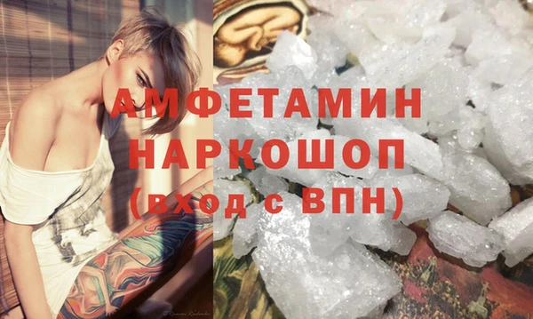 сатива Беломорск