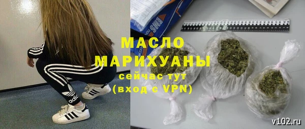 сатива Беломорск