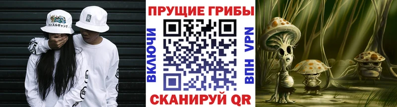 Галлюциногенные грибы MAGIC MUSHROOMS  Волжск 