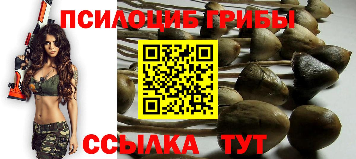 Псилоцибиновые грибы мухоморы  Вход с VPN  Псилоцибиновые грибы GOLDEN TEACHER  Волжск 